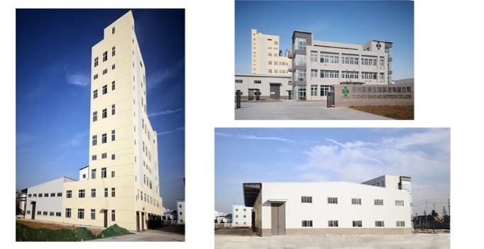 Singao (Xiamen) Agribusiness Development Co., Ltd. dây chuyền sản xuất nhà máy