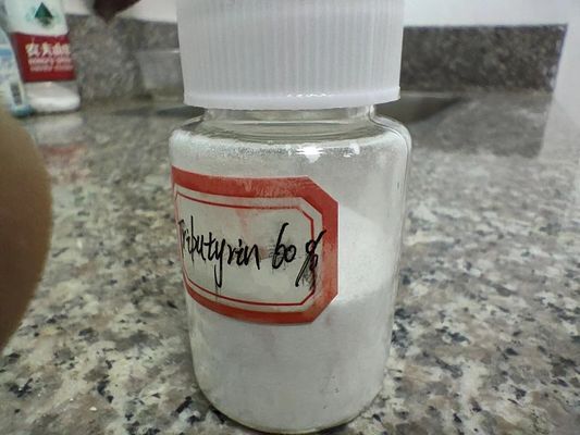 60% Bột Tributyrin tối thiểu thúc đẩy tăng trưởng cho lợn