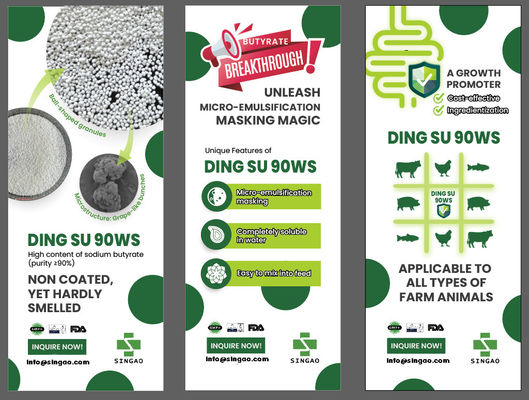 Không có mùi hòa tan trong nước không phủ 90% natri butyrate cho Aqua