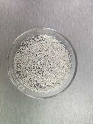 Slow Release 80% Coated Calcium Butyrate For Swine And Poultry