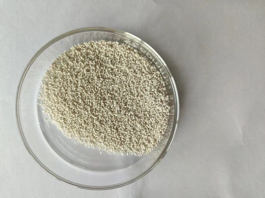 Antibacterial Calcium Butyrate 65% plus Lactobacillus 35% Poultry Feed Additives 5743-36-2
