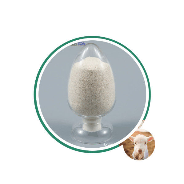 Calcium Butyrate bọc giải phóng chậm 80% 50% cộng với Sodium Butyrate 30% CAS 5743-36-2 Dùng cho Nuôi trồng thủy sản