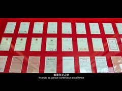 giới thiệu singao